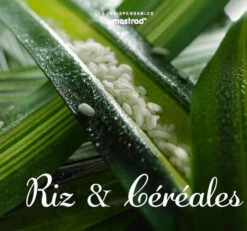 Cocotte En Fonte Emaillée Staub Tomate D25 3 L 7 Cocotte En Fonte Emaillée Staub Tomate D25 3 L -Cuisine Cuisson Magasin cocotte en fonte emaillee staub tomate d25 3 l 2