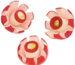 Roulette à Pizza Inox 10 Cm OXO -Cuisine Cuisson Magasin roulette a pizza inox 10 cm oxo 2